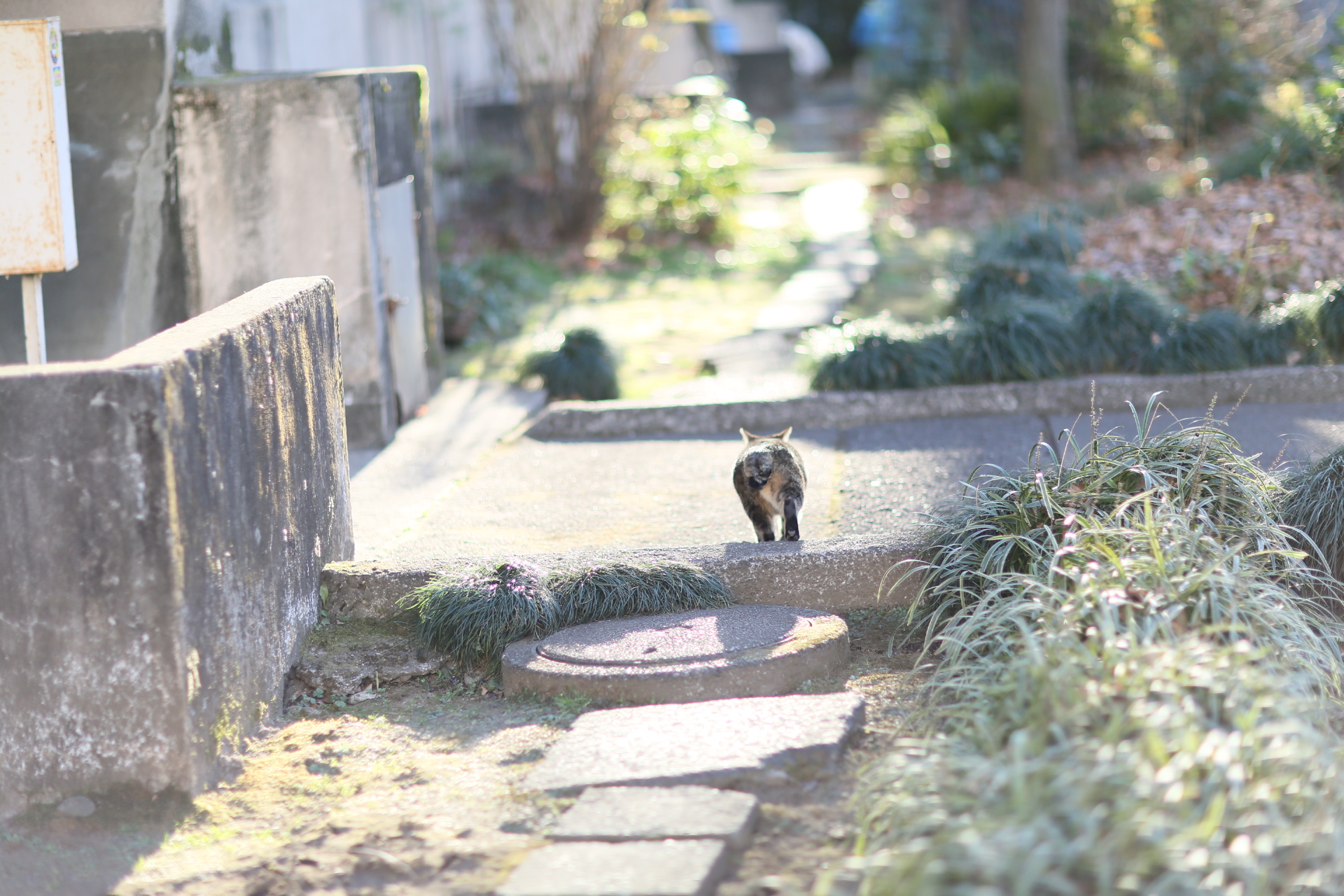 Canon EOS 5D MarkIII + EF85mm F1.2L II USM