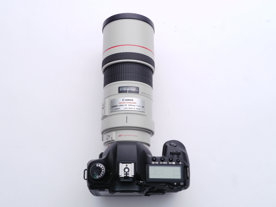 新商品 Florida雑貨店Canon 単焦点望遠レンズ EF300mm F4L IS USM フル