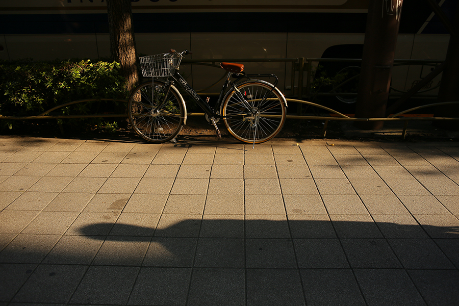 CONTAX (コンタックス) Distagon T*28mm F2.8 MM