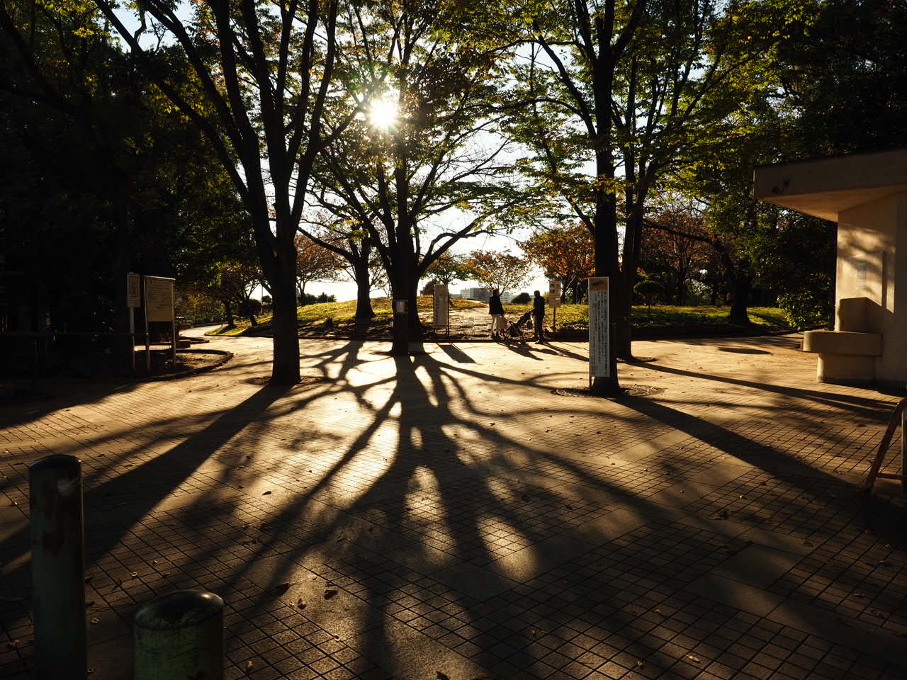 OLYMPUS (オリンパス) OM-D E-M5 Mark II + M.ZUIKO DIGITAL ED12-40mm F2.8 PRO