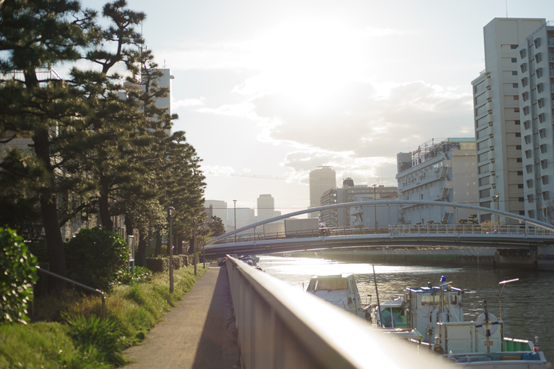 CONTAX (コンタックス) Planar T*50mm F1.4