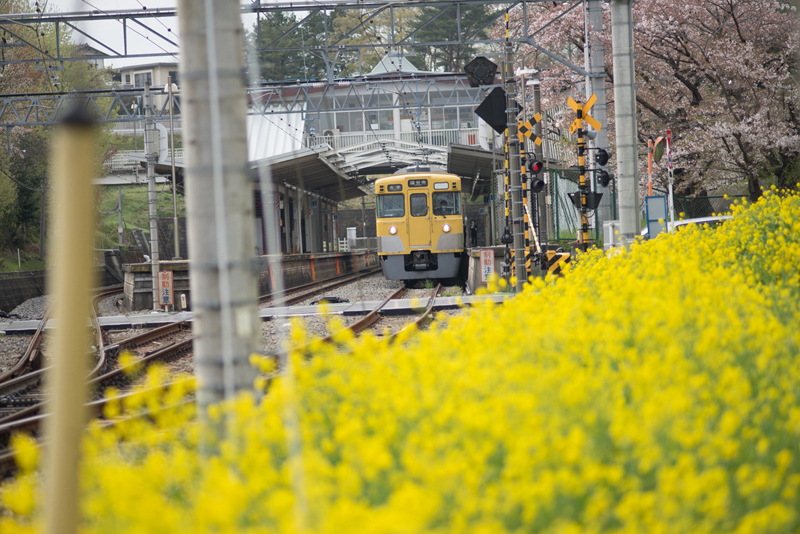 CONTAX (コンタックス) Sonnar T*135mm F2.8