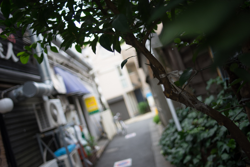 CONTAX (コンタックス) Distagon T*28mm F2 MM Germany