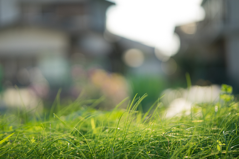 SONY (ソニー) α7ボディ ILCE-7+Carl Zeiss (カールツァイス) Batis 85mm F1.8（ソニーE用/フルサイズ対応）