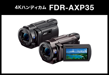 SONY (ソニー) デジタル4Kビデオカメラレコーダー HANDYCAM FDR-AXP35