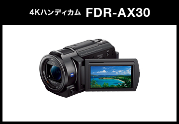 SONY (ソニー) デジタル4Kビデオカメラレコーダー HANDYCAM FDR-AX30 ブラック