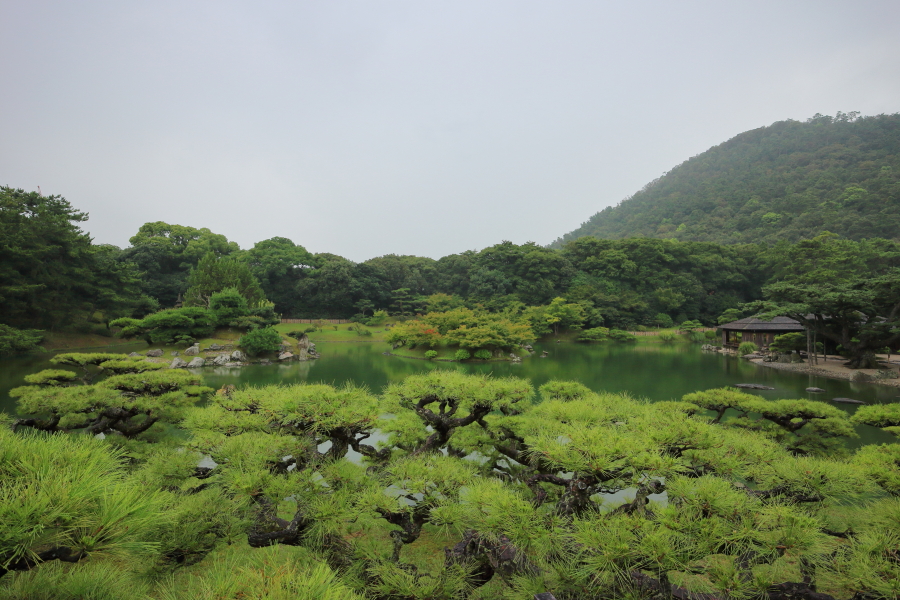 Canon EOS M2 + EF-M11-22mm F4-5.6 IS STM