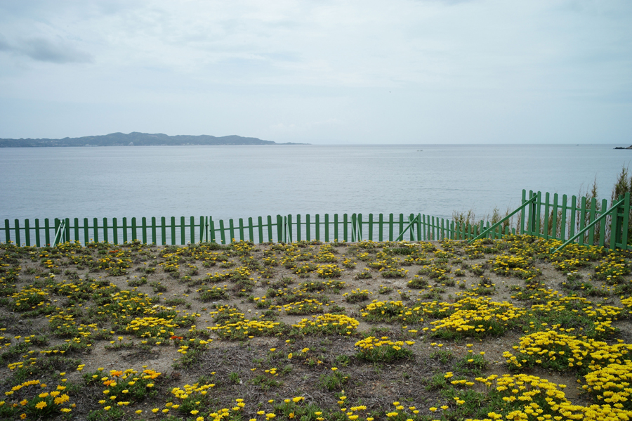 Leica M9 + Leica SUMMILUX M35mm F1.4 ASPH.(旧)