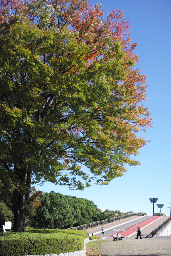 Konica Konishiroku HEXAR (L) 50mm F3.5 (沈胴)