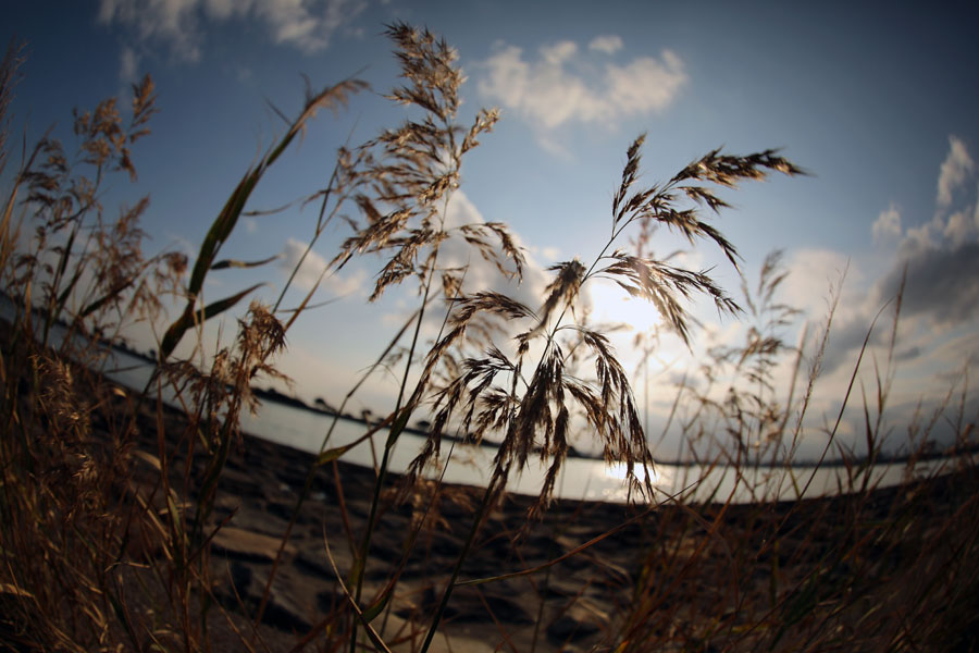 Canon (キヤノン) EOS 5D Mark IV＋Canon (キヤノン) EF8-15mm F4L フィッシュアイ USM