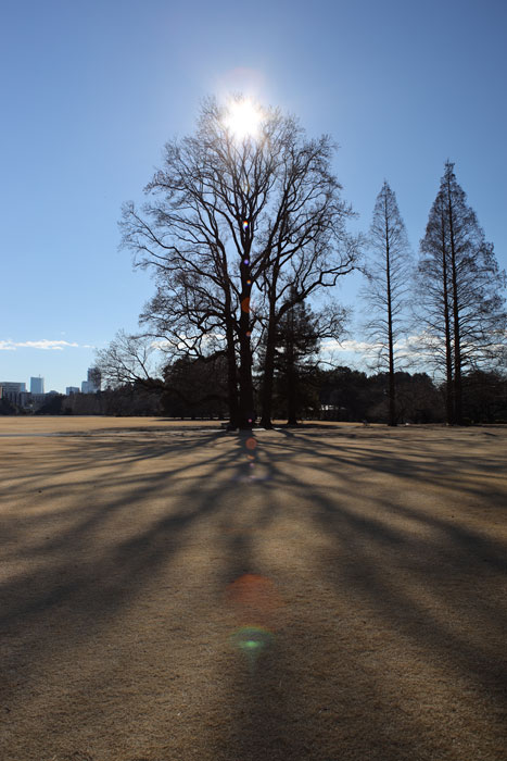 EOS R ＋ エルマリート R24mm F2.8