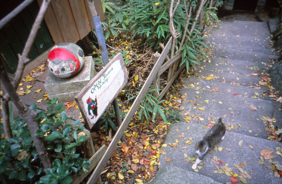 リコー GR 28mm F2.8 L