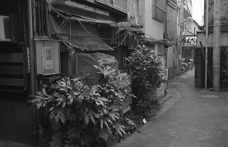 Leica M3×ズマロン M35mm F2.8 眼鏡付