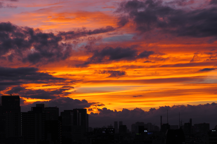 OLYMPUS (オリンパス) OM-D E-M1+M.ZUIKO DIGITAL ED 40-150mm F2.8 PRO