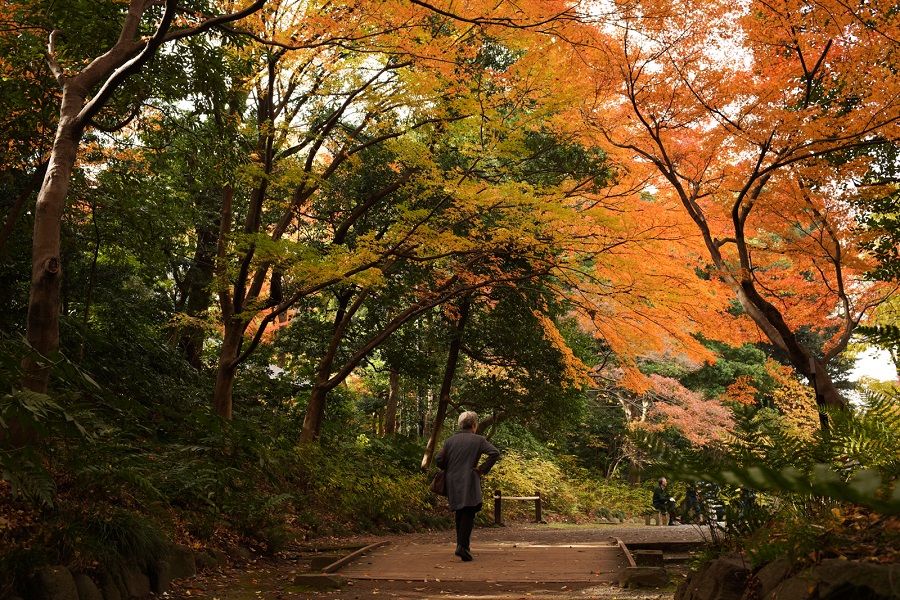 SONY (ソニー) α7RIII ボディ ILCE-7RM3+Carl Zeiss (カールツァイス) Loxia 35mm F2（ソニーE用/フルサイズ対応）