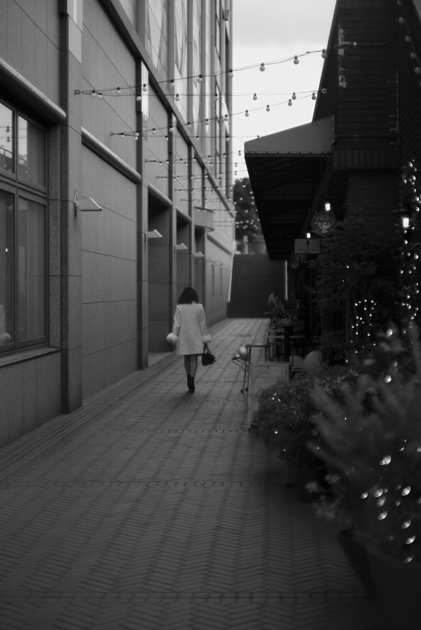 Leica M モノクローム(Typ246)+MS-Optics Sonnetar 73mm F1.5