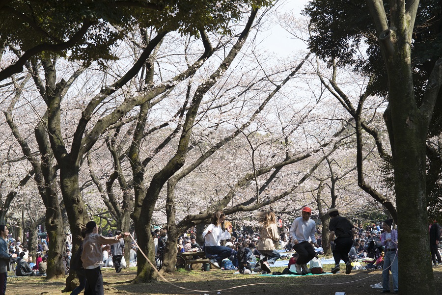 Leica M(Typ240)×Leica ズミルックス 75mm F1.4