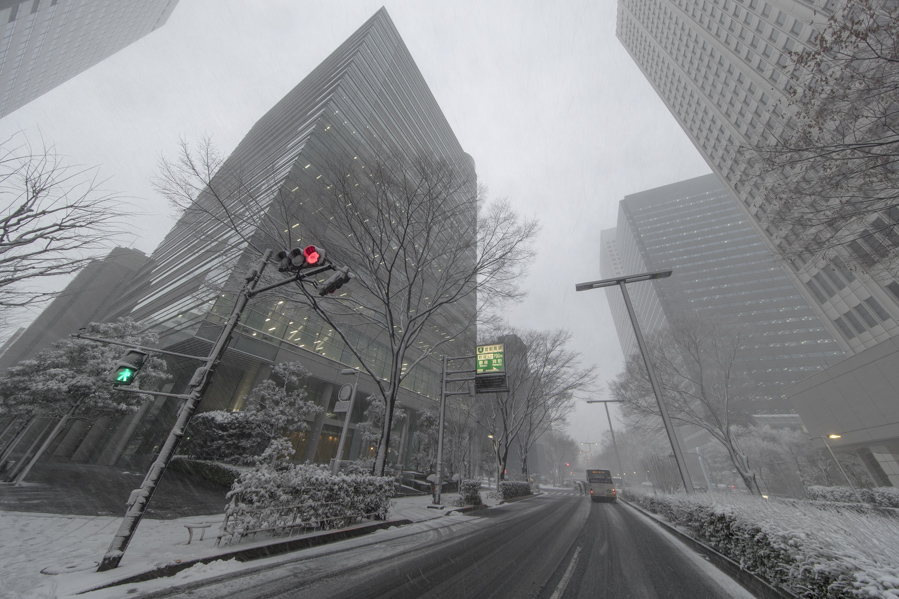 EOS-1DX MarkⅡ+EF11-24mm F4L USM