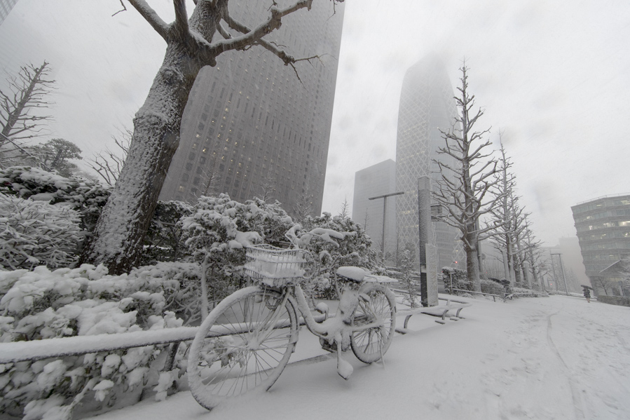 EOS-1DX MarkⅡ+EF11-24mm F4L USM