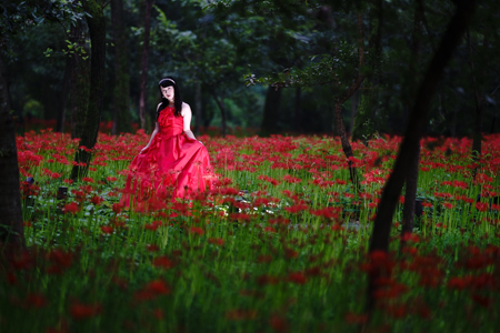 Adobe Photoshop Lightroom