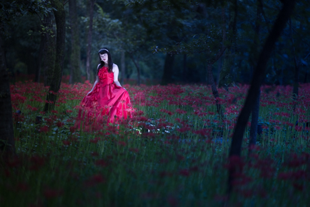 Adobe Photoshop Lightroom