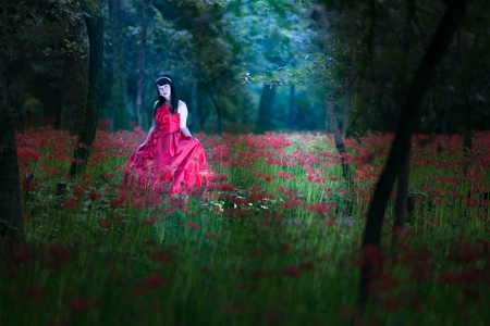 Adobe Photoshop Lightroom