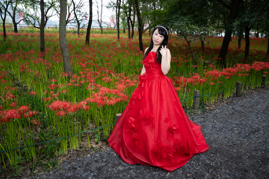α7RIV + SIGMA Art 24-70mm F2.8 DG OS HSM