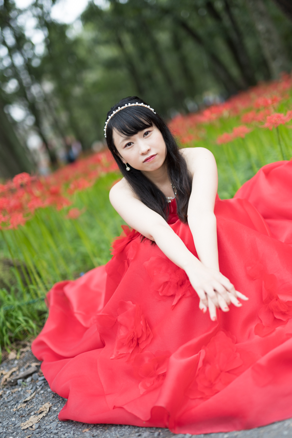 α7RIV + SIGMA Art 50mm F1.4 DG HSM
