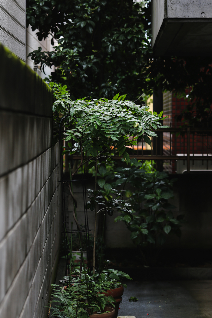 EOS-1D X + EF135mm F2.8L USM