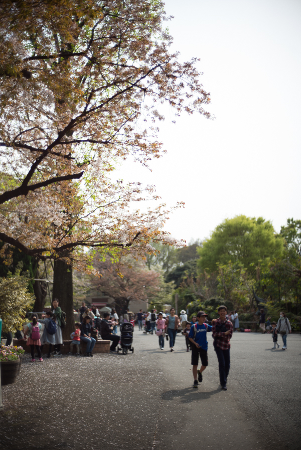 Leica (ライカ) M(Typ240) + Voigtlander (フォクトレンダー) SNAPSHOT-SKOPAR 25mm F4