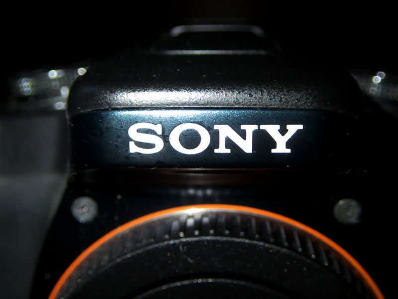 SONY α77II