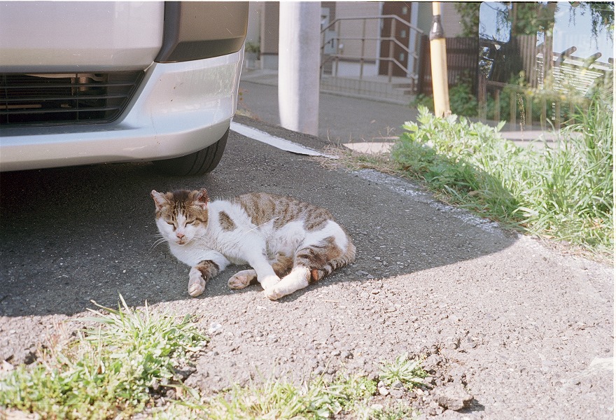 CONTAX T2