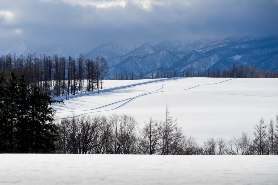 SONY α7II + SIGMA MC-11 EF-E + Canon EF70-200mm F4L USM