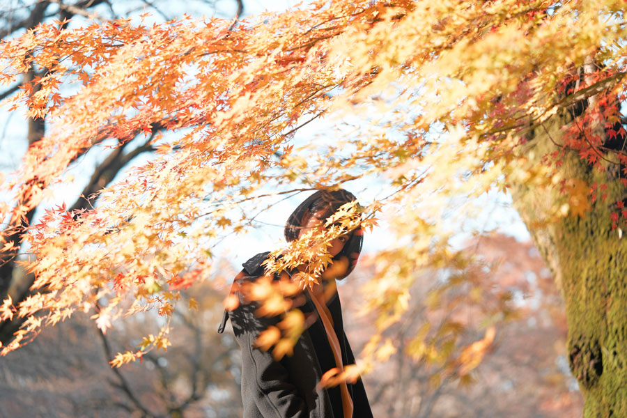 SONY α7Ⅱ+ SONY FE 90mm F2.8 Macro G OSS