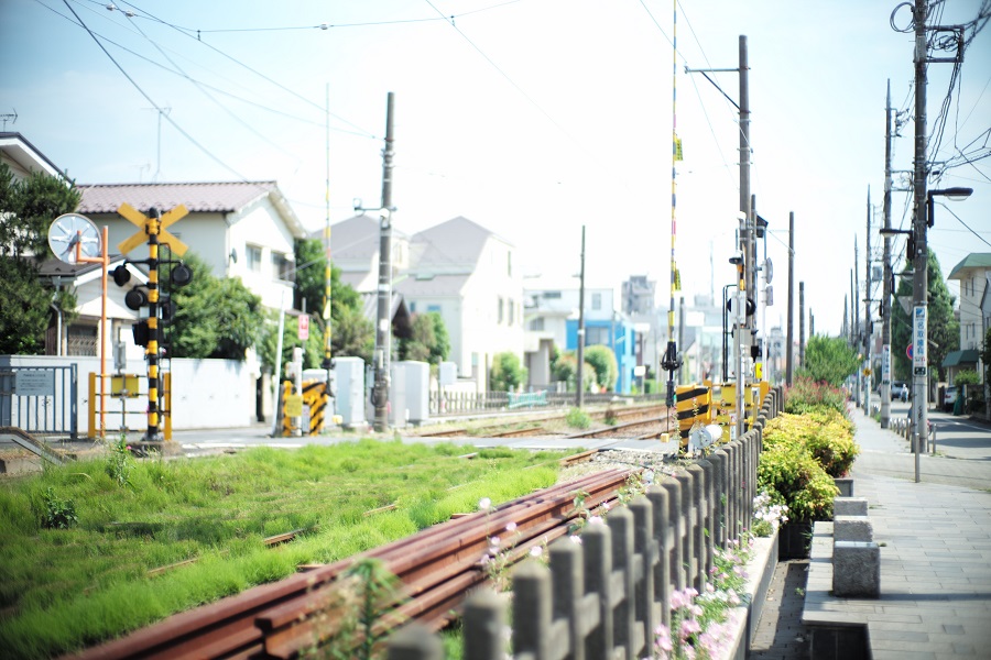 Leica M(Typ240)+ノクティルックスM50mm　F1.0（フード組み込み）