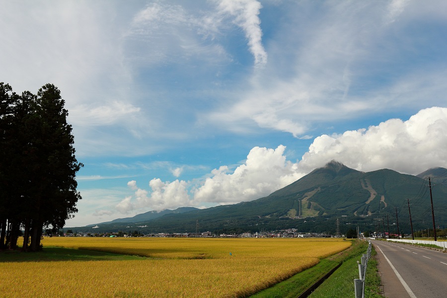 EOS 60D+EF16-35mm F4L IS USM