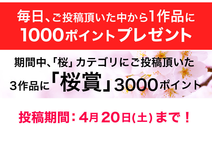 毎日1作品に1000ポイントプレゼント