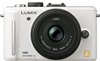 LUMIX DMC-GF1