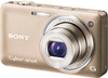 SONY DSC-WX5