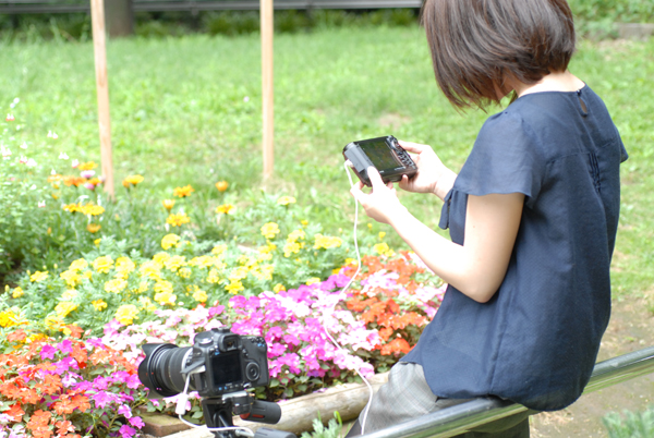 大容量HDDで幅広い用途に