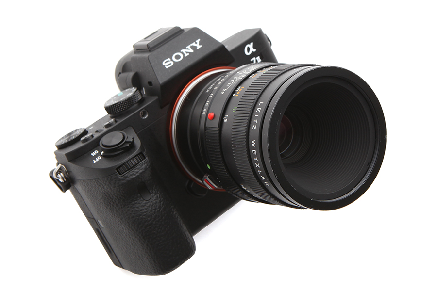 SONY α7II × LEICA Macro-Elmarit R 60mm | MAP × Mountadapter