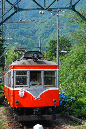 紫陽花電車