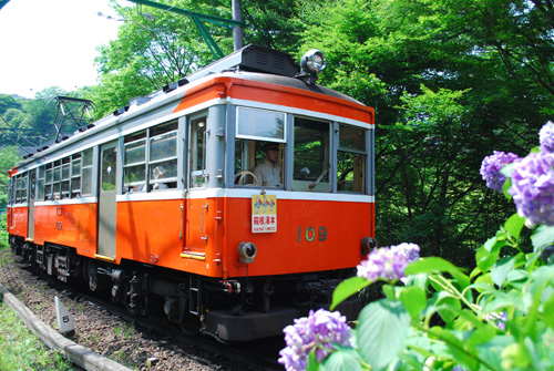 紫陽花電車