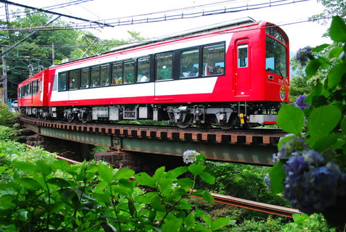 紫陽花電車