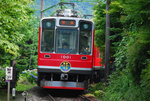 紫陽花電車