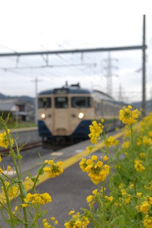 早くも春を迎えた和田浦駅