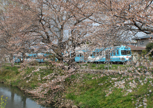 新坂川越に見る流馬号