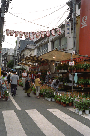 路地まで続くお店