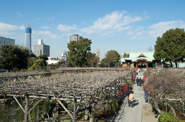 Nikon D700 +AF-S ED17-35mmF2.8D（焦点距離：30mm / 絞り：F10 / シャッター速度：1/400秒 / ISO：200）