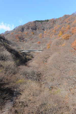 めがね橋から望む新線の橋梁